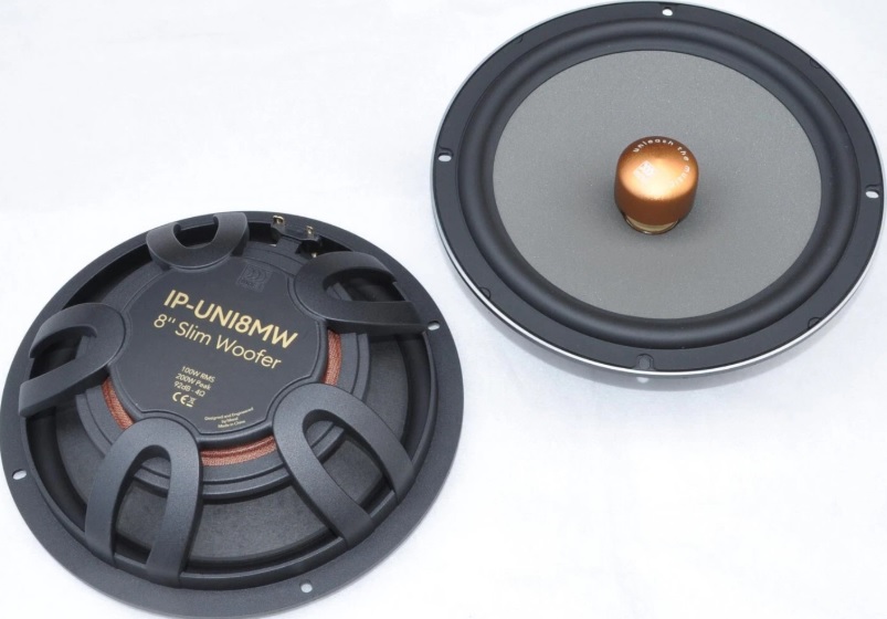 ảnh m&ocirc; tả Morel IP- UNI82
