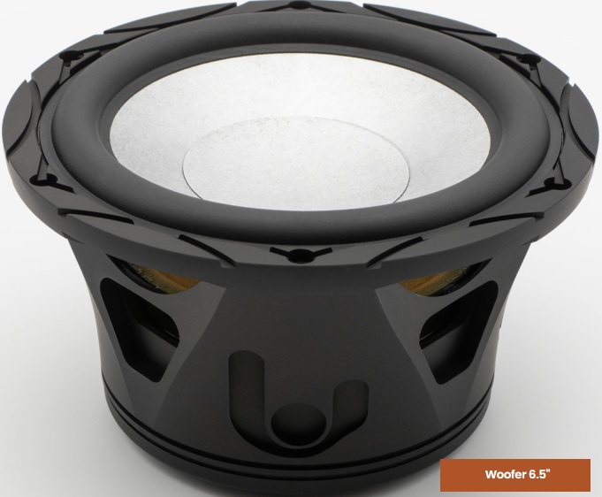 Loa Quatorigo Opus woofer 6.5 inch