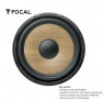 Focal Sub P 30 FSE | Loa siêu trầm nhỏ gọn 300RMS/600W